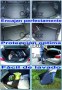 Alfombra Cubeta Protector maletero Extren BMW X5 E53